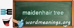 WordMeaning blackboard for maidenhair tree